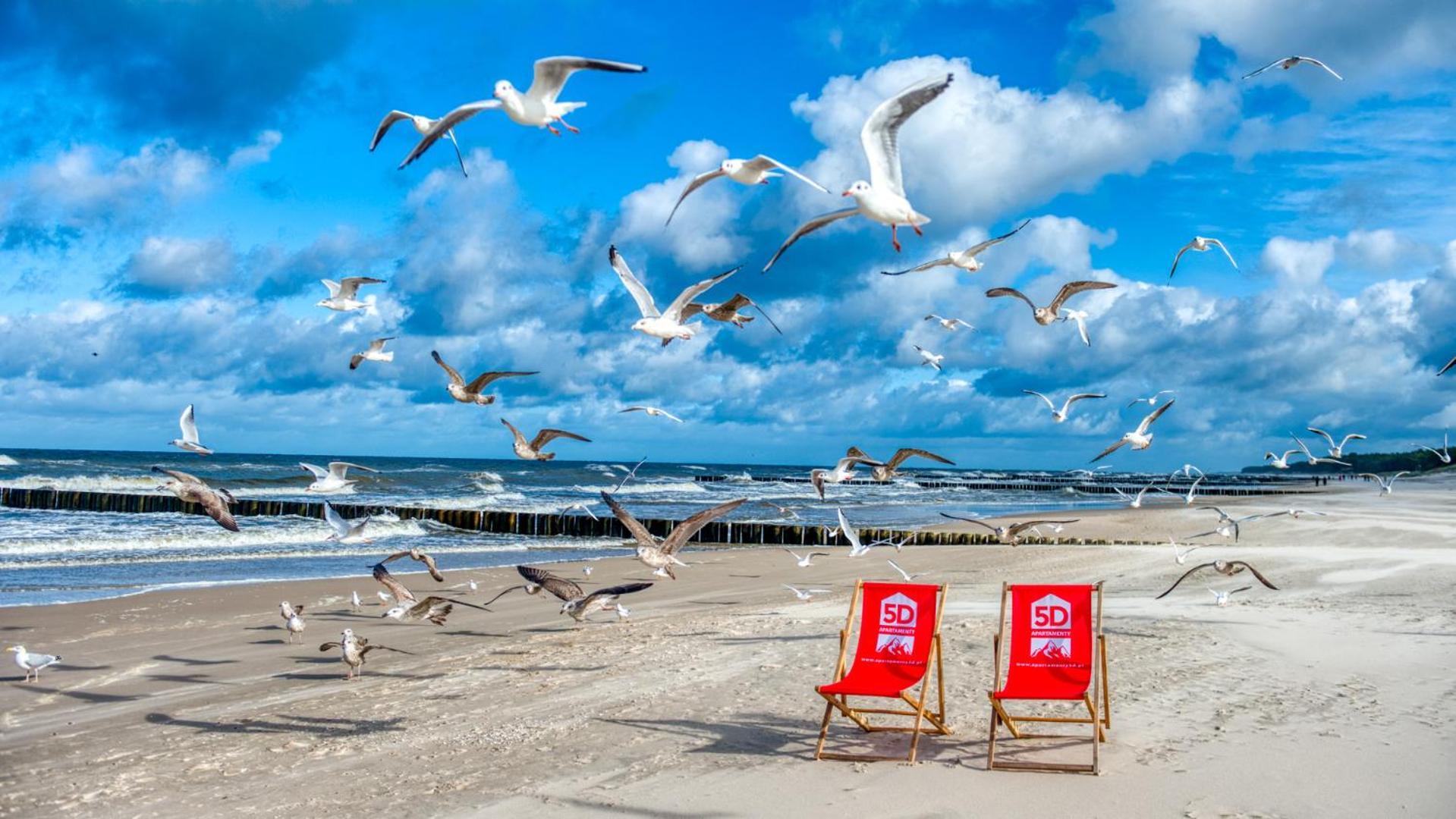 Rezydencja Niechorze 310 Z Widokiem Na Morze I Przy Plazy - 5D Apartamenty Exteriör bild